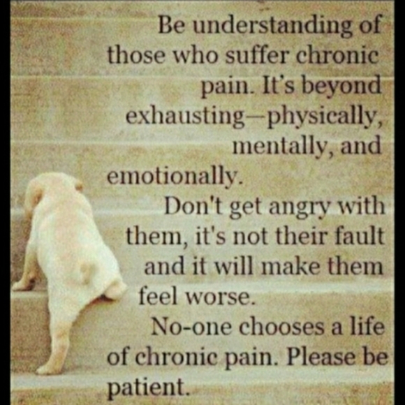 ⚜️ NWOT MEN'S Eddie Bauer Cable Knit Sweater 100% Cotton XL UNISEX - Picture 12 of 14